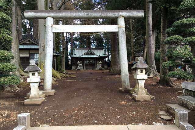 写真