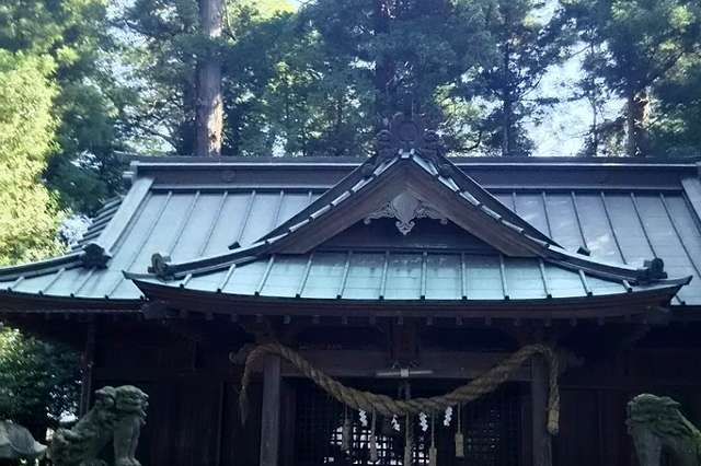 写真