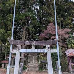 星宮神社(投稿日:2025年12月6日) 写真