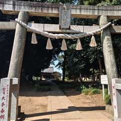 写真