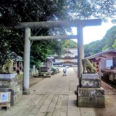 投稿日:2025年10月13日 写真