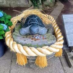 投稿日:2025年10月13日 写真