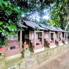 投稿日:2025年10月13日 写真