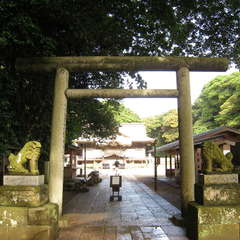 投稿日:2024年7月15日 写真