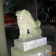 投稿日:2025年8月8日 写真