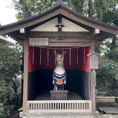 投稿日:2024年2月15日 写真