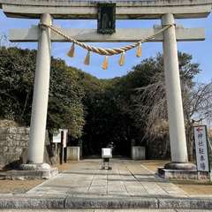 投稿日:2024年2月15日 写真