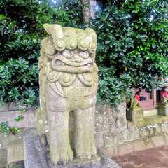 投稿日:2025年10月13日 写真