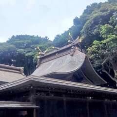 投稿日:2025年10月13日 写真