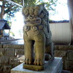 投稿日:2025年7月26日 写真