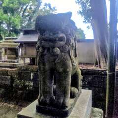 投稿日:2025年10月13日 写真