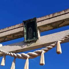 投稿日:2024年12月7日 写真