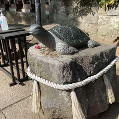 投稿日:2024年2月15日 写真