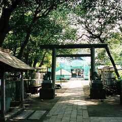 投稿日:2025年10月7日 写真