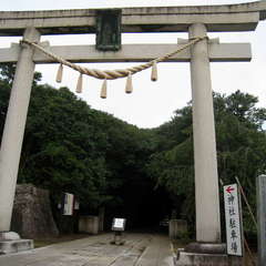 投稿日:2024年7月15日 写真