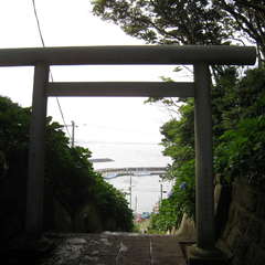 投稿日:2024年7月15日 写真