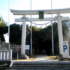 投稿日:2025年7月26日 写真