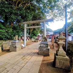 投稿日:2025年11月3日 写真