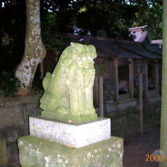 投稿日:2025年8月8日 写真