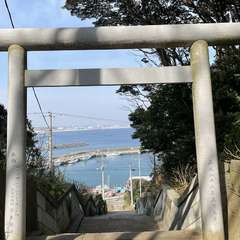 投稿日:2024年2月15日 写真