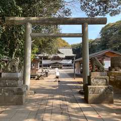 投稿日:2024年2月15日 写真