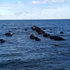 投稿日:2024年12月7日 写真