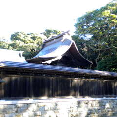 投稿日:2025年7月26日 写真