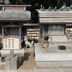 投稿日:2024年2月15日 写真