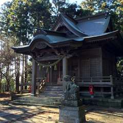 写真