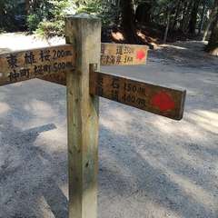 投稿日:2021年12月5日 写真