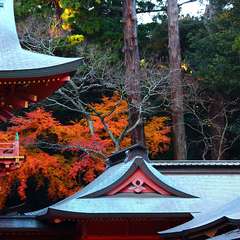 投稿日:2015年1月5日 写真