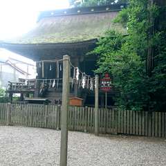 投稿日:2019年7月21日 写真