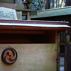 投稿日:2015年1月5日 写真