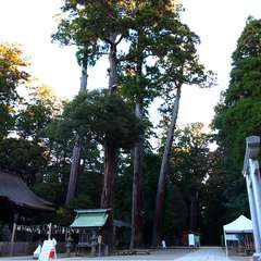 投稿日:2015年1月5日 写真
