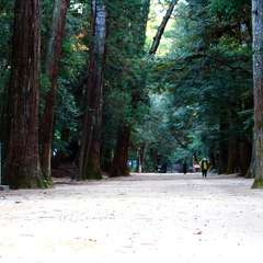 投稿日:2015年1月5日 写真