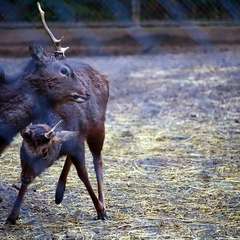 投稿日:2015年1月5日 写真