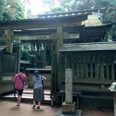 投稿日:2019年7月21日 写真