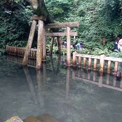 投稿日:2019年7月21日 写真