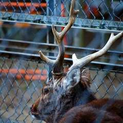 投稿日:2015年1月5日 写真