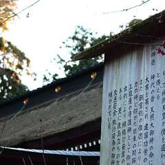 投稿日:2015年1月5日 写真