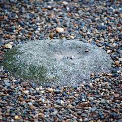 投稿日:2015年1月5日 写真