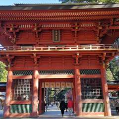 投稿日:2021年12月5日 写真