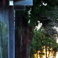 投稿日:2015年1月5日 写真