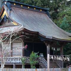 投稿日:2015年1月5日 写真