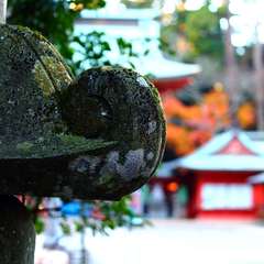 投稿日:2015年1月5日 写真