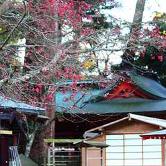 投稿日:2015年1月5日 写真