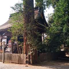 投稿日:2021年3月27日 写真