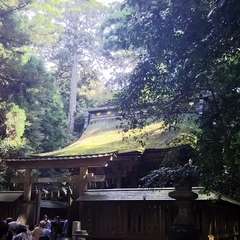 投稿日:2017年10月8日 写真