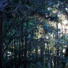 投稿日:2015年1月5日 写真