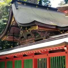 投稿日:2019年11月11日 写真